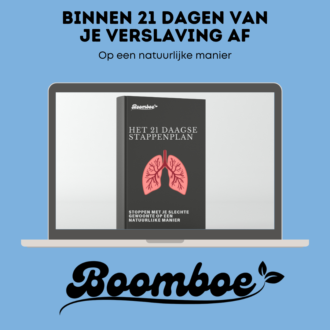Boomboe stop stappenplan (aanvullend bij de fysieke Boomboe)